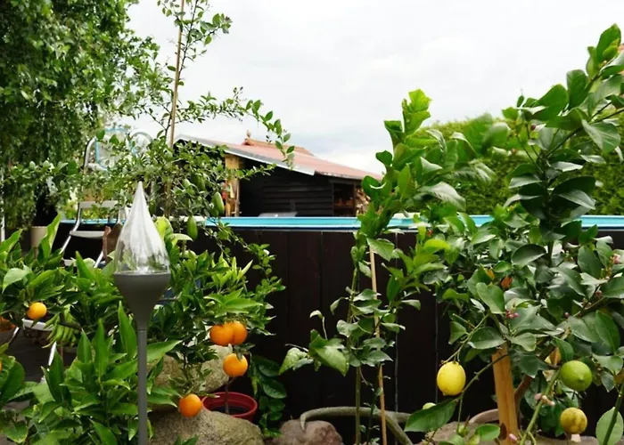 Pension Limone Ferienwohnung 2