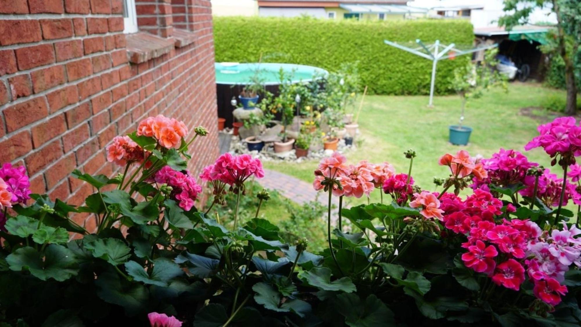 Apartment Limone 2